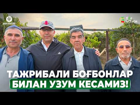 Видео: УЗУМНИ ВЕРТИКАЛ УСУЛДАН ОЛТИАРИҚ УСУЛИГА БОСҚИЧМА БОСҚИЧ ЎТҚАЗИШ! | ШУҲРАТ АБРОРОВ #shuhratabrorov