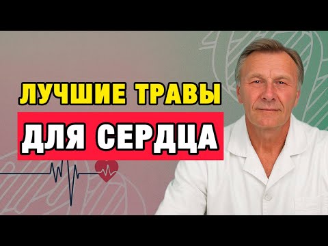 Видео: Секрет стабильного давления: проверенные травы для зрелых людей