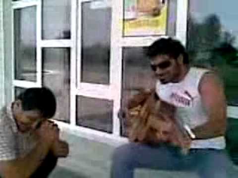 Видео: где беламора достать... Магарамкент (Объект) (05регион).flv