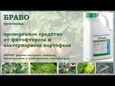 Видео: Браво - проверенное средство от фитофтороза и альтернариоза картофеля. Обзор фунгицида