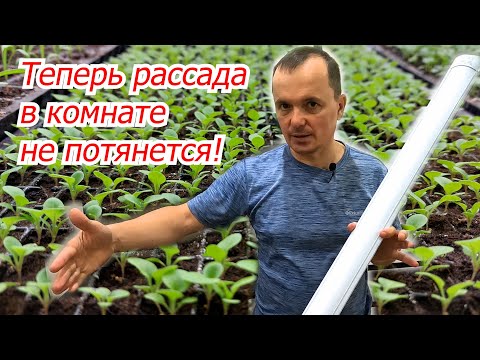 Видео: Под такими лампами вырастет крепкая рассада. Дёшево и эффективно.