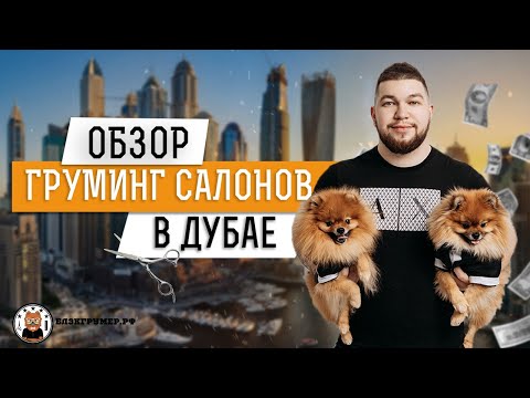 Видео: Обзор груминг салонов в Дубае | Данил Рындевич и Юлия Дягель Блэкгрумер.рф