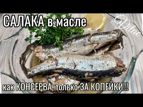 Видео: Приготовьте так САЛАКУ - выходит как КОНСЕРВА в МАСЛЕ, очень бюджетно и вкусно!!