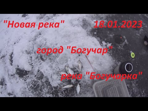 Видео: "Новая река", 18.01.2023, река "Богучарка", город "Богучар".