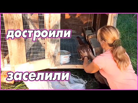 Видео: Заселяем птичий дом