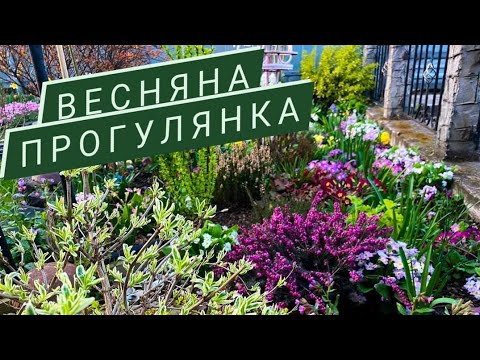 Видео: КАЗКОВА ВЕСНА! ПРОГУЛЯНКА САДОМ🌺