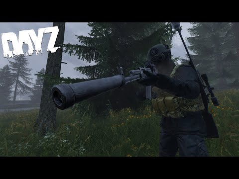Видео: Как я ПРЕУСПЕЛ, будучи ОДИНОКИМ ВОЛКОМ в DayZ
