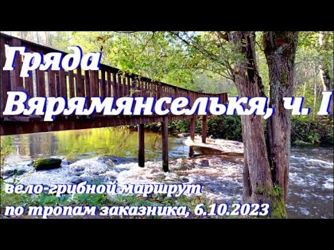 Видео: Заказник "Гряда Вярямянселькя": Вело-пеше-грибной маршрут по тропам среди озер. 6.10.2023. Часть 1.