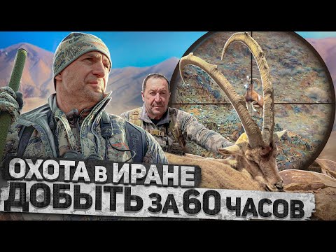 Видео: Трофейная охота в Иране 3: Южный пустынный козерог и Исфаханский муфлон [4K] #трофейнаяохота