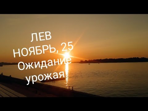 Видео: ЛЕВ НОЯБРЬ 2025 года Основные сферы жизни