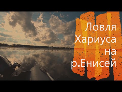 Видео: Енисей Рыбалка