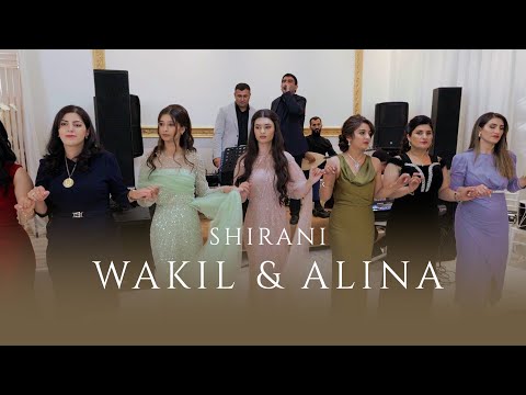 Видео: Wakil & Alina //Shirani//Езидская помолвка //Dawata Ezdia PART 4