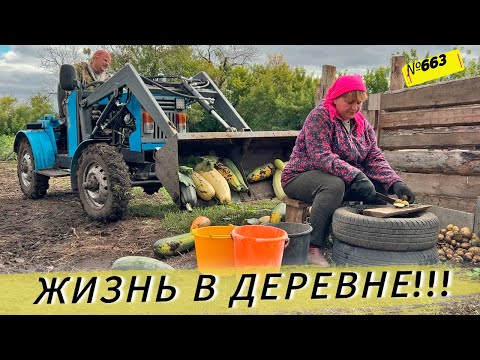 Видео: Один день из жизни Омской деревни. Наши будни.