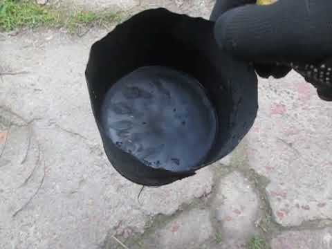 Видео: Как сделать пушечное сало самому. Часть 2