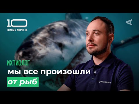 Видео: 10 глупых вопросов ИХТИОЛОГУ