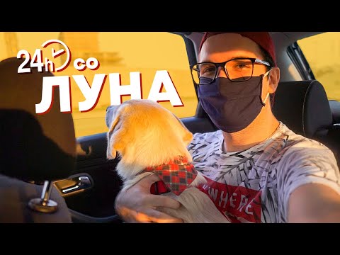 Видео: ПОМИНАВ 24 ЧАСА СО ЛУНА (направи хаос)