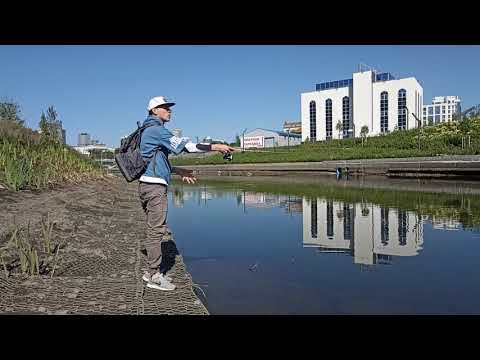 Видео: Рецепт рыбалки на час. Наноджиг/мормышинг в городских условиях.
