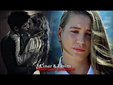 Видео: Çınar & Yeşim - Золотыми рыбками💔