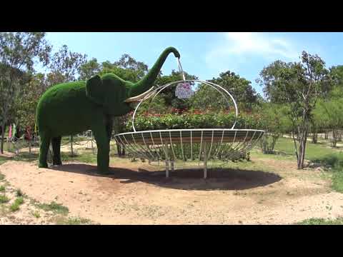 Видео: День 7. Остров орхидей и остров обезьян.