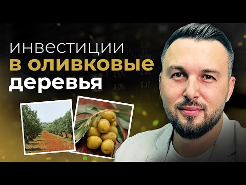 Видео: Инвестиции в Оливковые Деревья. Пассивный Доход на Долгосрочной Стратегии / Алексей Новицкий #деньги