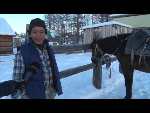 Видео: 20.03.19 Сылгыһыт Таатта