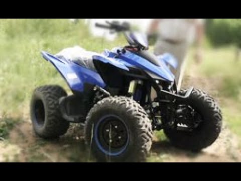 Видео: ATV SPORTY 250. ATV спортивного типа. Обзор.