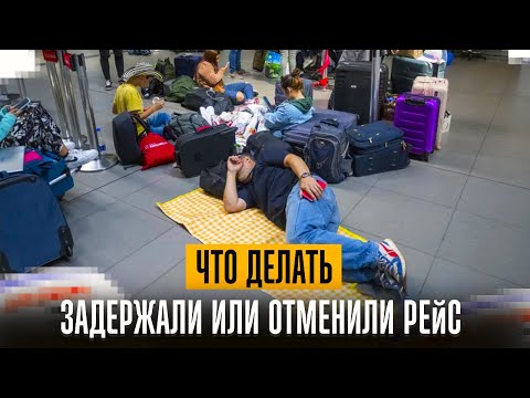 Видео: Как взыскать компенсацию и что делать если задержали или отменили рейс