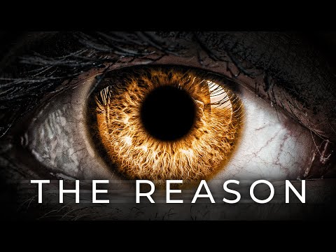 Видео: Люди продолжают смотреть, но не видят — Алан Уоттс о внутреннем мире