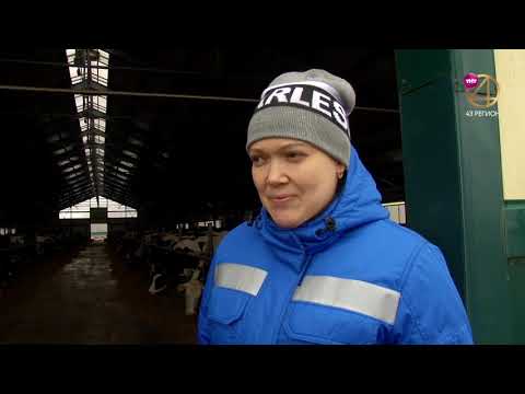 Видео: Дороги деревенские 14.03