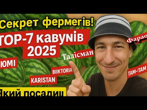 Видео: "Тільки фермер знає! ТОП-7 сортів кавунів для великого врожаю у 2025 році!"