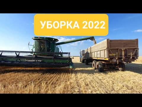 Видео: Уборка озимого ячменя 2022