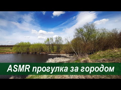 Видео: ASMR прогулка за городом, тихий голос и звуки природы