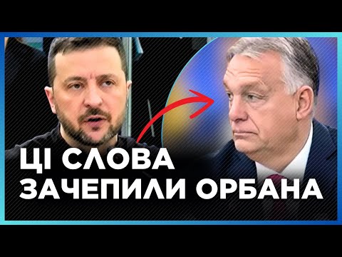 Видео: ПОДИВІТЬСЯ на РЕАКЦІЮ Орбана! Слова Зеленського ЗАЧЕПИЛИ всіх в Угорщині. Промова на саміті