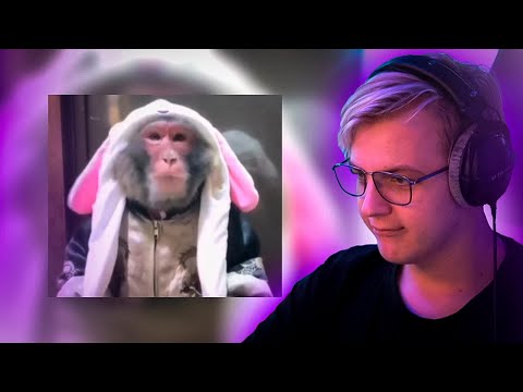 Видео: Пятрёка СМОТРИТ - ДИСС НА НЕКОГЛАЯ / MZLFF, STINT| Нарезка стрима ФУГА TV