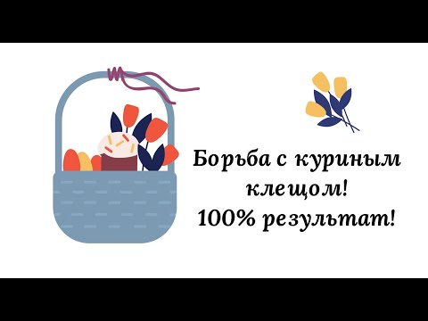 Видео: Борьба с куриным клещом. 100% результат! Обновленное видео!