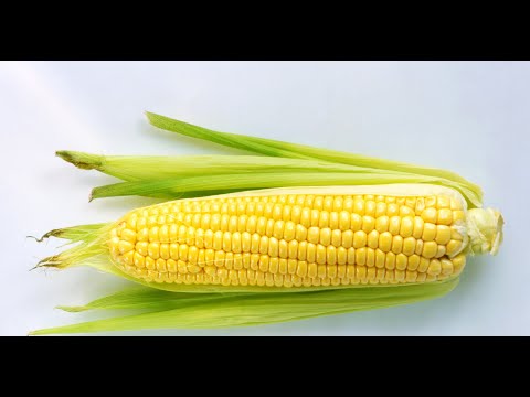 Видео: Кукурузная брага на диких дрожжах