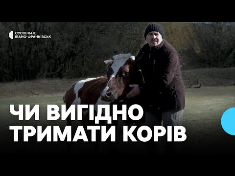 Видео: Як на Франківщині зменшується чисельність корів: статистика з 1991 року