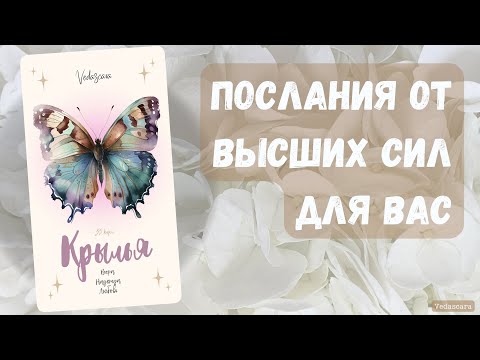 Видео: Гадание онлайн: ПОСЛАНИЕ ДНЯ ДЛЯ ВАС #гадание #посланиеотвысшихсил