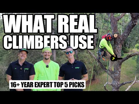 Видео: 5 лучших инструментов, которые нужны каждому арбористу! Основы лазанья по деревьям 🌳