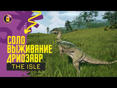 Видео: The Isle Evrima. Соло выживание за дриозавра.