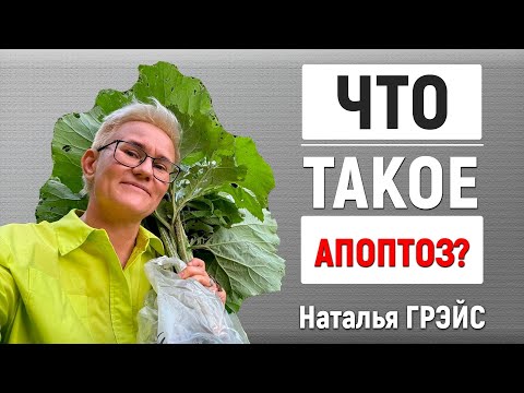 Видео: ЧТО ТАКОЕ АПОПТОЗ НЕРВНЫХ КЛЕТОК и КАК МОЗГ ТЕРЯЕТ ФУНКЦИИ, КОТОРЫЕ НЕ ИСПОЛЬЗУЮТСЯ | НАТАЛЬЯ ГРЭЙС