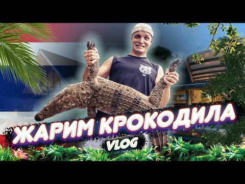 Видео: Шашлык из НАСТОЯЩЕГО КРОКОДИЛА! Спортбайк, ТАТУ палкой. СМОТРЕТЬ БЕСПЛАТНО И БЕЗ РЕГИСТРАЦИИ! VLOG