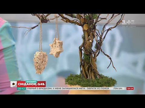 Видео: Как построить простую и экологическую кормушку для птиц