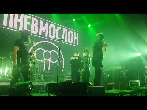Видео: Пневмослон - Завод "Говнорок" (Live @ Base Fest, Noscow. 2023.08.26)