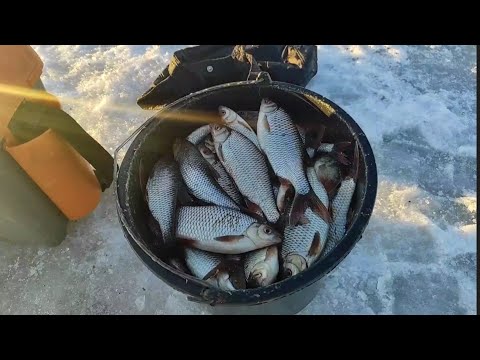 Видео: Рыба подошла к вечеру.Последний лёд. Клёв, как на Черных камнях.