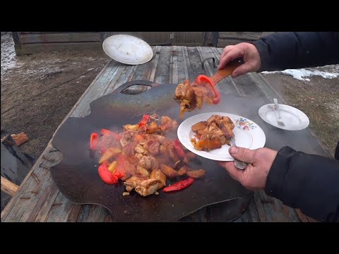 Видео: САДЖ ИЗ ДИСКА БОРОНЫ