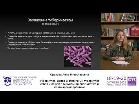 Видео: Туберкулез, лепра и атипичный туберкулез собак и кошек —Орехова Анна.