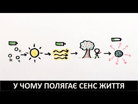 Видео: У чому полягає сенс життя. Епізод 5 з 5 [MinutePhysic]