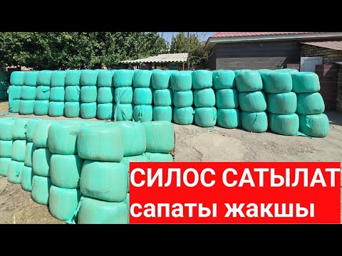 Видео: Силос сапаттуу коп коломдо сатылат 0555160569