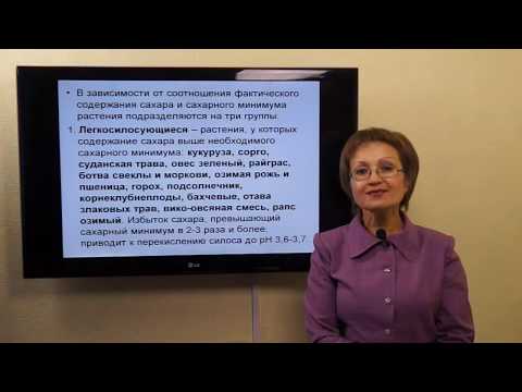 Видео: Козина Е.А. Силос